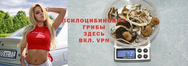 МДПВ Аркадак