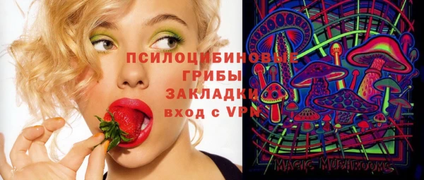 МДПВ Аркадак