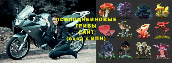МДПВ Аркадак